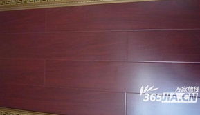 建材直通车再度发力，华东建材城精品特价大放送引领消费新热潮